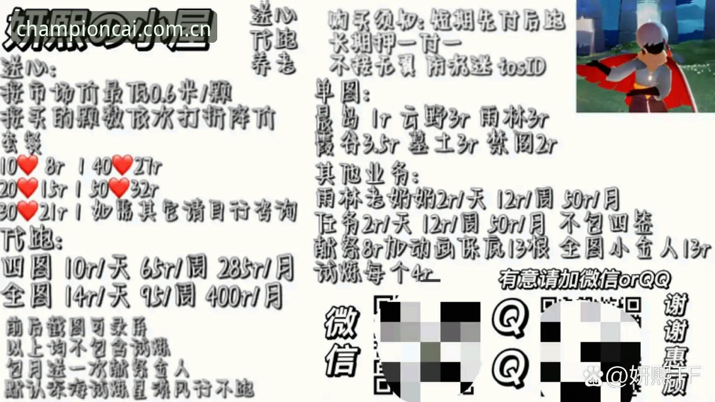 冠军白菜iOS版深度分析：从安装体验到功能全面解析