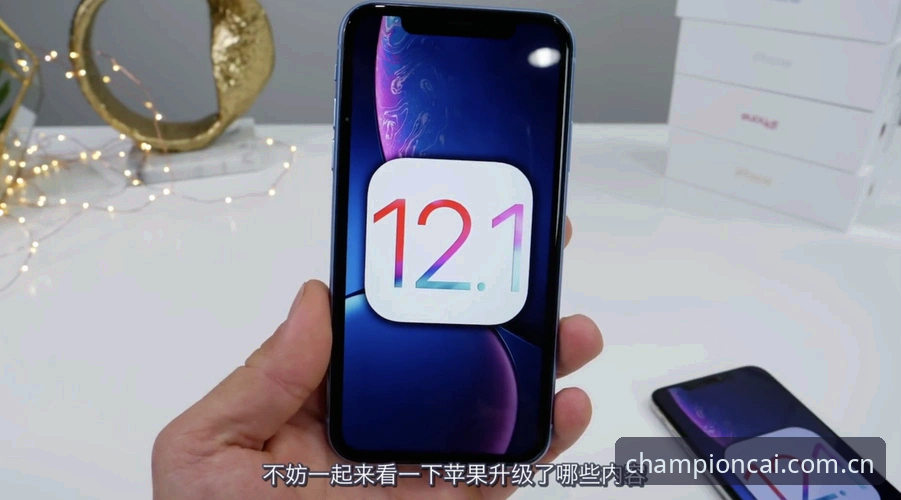 冠军白菜平台新旧版本对比：功能全面进化与用户体验升级