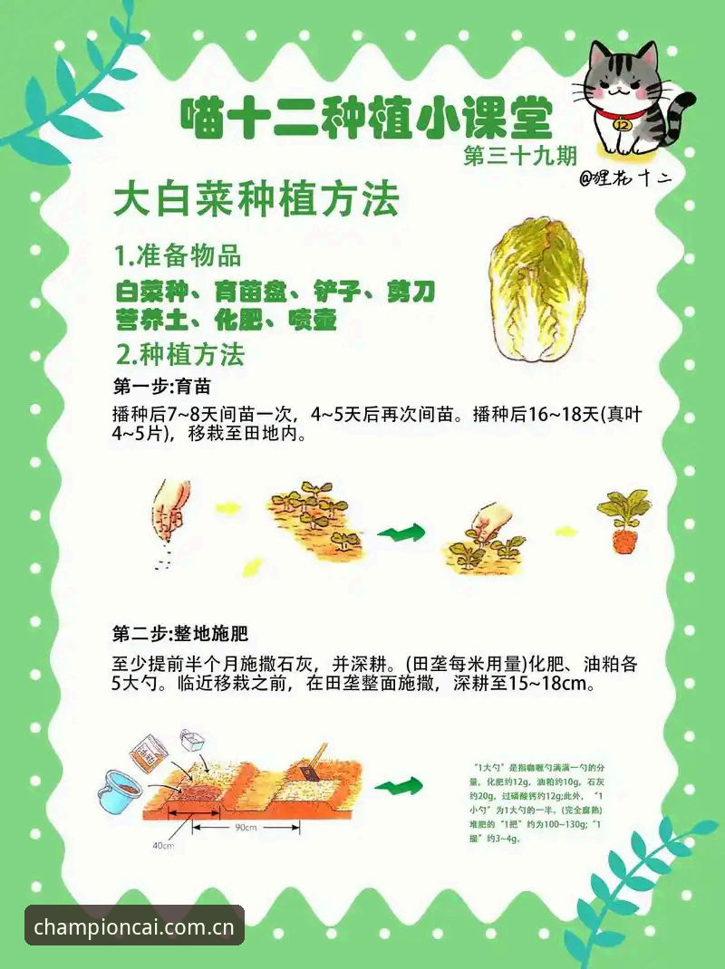 最新冠军白菜入口 最新冠军白菜入口操作指南详解