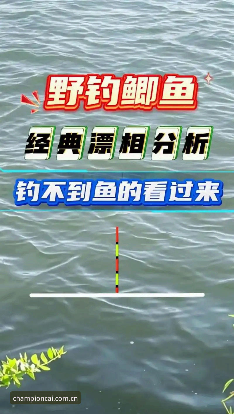 都灵德比深度解析：冠军白菜平台v2.1.0用户必看的赛事分析与操作教程